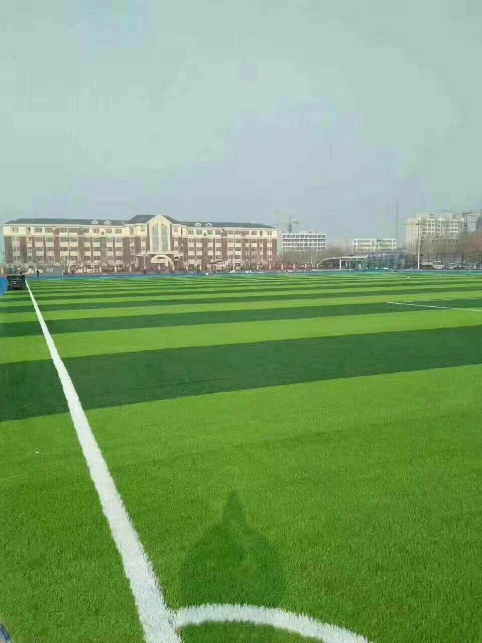 海口市预制型跑道仿真草坪 - 排名